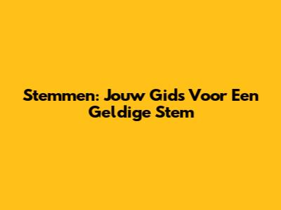 Stemmen: Jouw Gids Voor Een Geldige Stem