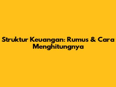 Struktur Keuangan: Rumus & Cara Menghitungnya