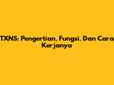 TXNS: Pengertian, Fungsi, Dan Cara Kerjanya