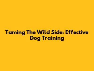 Taming The Wild Side: Effective Dog Training