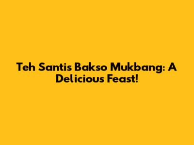 Teh Santi's Bakso Mukbang: A Delicious Feast!