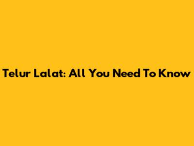 Telur Lalat: All You Need To Know