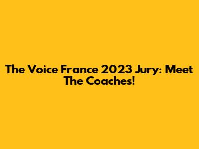 The Voice France 2023 Jury: Meet The Coaches!