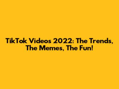 TikTok Videos 2022: The Trends, The Memes, The Fun!