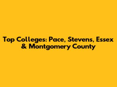 Top Colleges: Pace, Stevens, Essex & Montgomery County