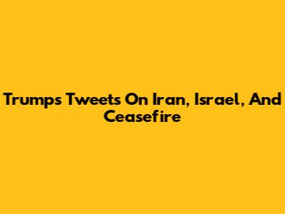 Trump's Tweets On Iran, Israel, And Ceasefire