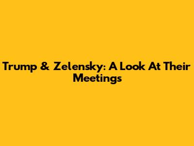 Trump & Zelensky: A Look At Their Meetings