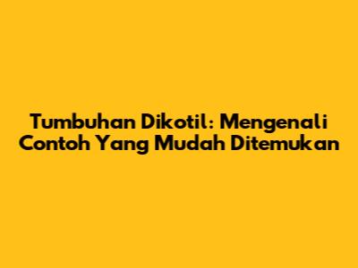 Tumbuhan Dikotil: Mengenali Contoh Yang Mudah Ditemukan