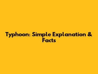 Typhoon: Simple Explanation & Facts