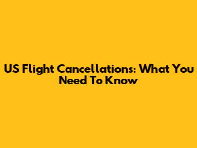 US Flight Cancellations: What You Need To Know