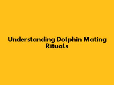 Understanding Dolphin Mating Rituals