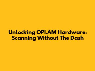Unlocking OPI.AM Hardware: Scanning Without The Dash