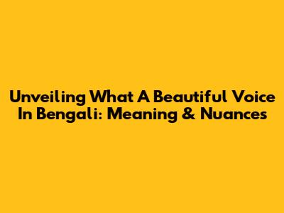 Unveiling 'What A Beautiful Voice' In Bengali: Meaning & Nuances