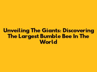 Unveiling The Giants: Discovering The Largest Bumble Bee In The World