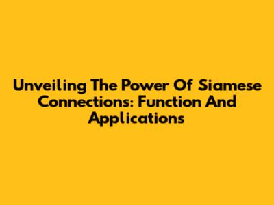 Unveiling The Power Of Siamese Connections: Function And Applications