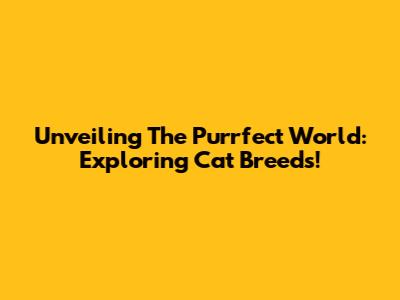 Unveiling The Purrfect World: Exploring Cat Breeds!