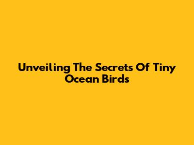 Unveiling The Secrets Of Tiny Ocean Birds