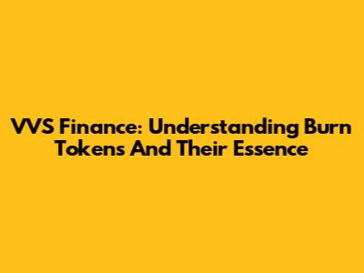 VVS Finance: Understanding Burn Tokens And Their Essence