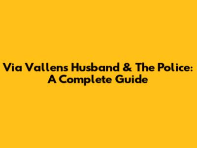 Via Vallen's Husband & The Police: A Complete Guide