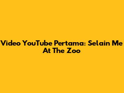 Video YouTube Pertama: Selain 'Me At The Zoo'