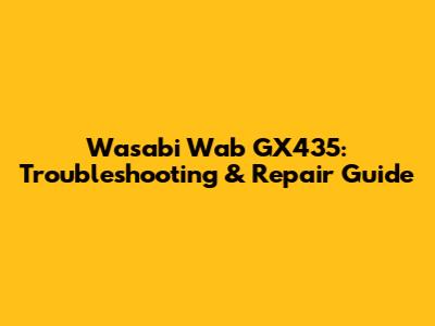 Wasabi Wab GX435: Troubleshooting & Repair Guide