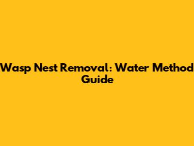 Wasp Nest Removal: Water Method Guide