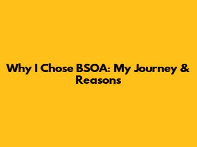 Why I Chose BSOA: My Journey & Reasons
