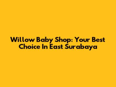 Willow Baby Shop: Your Best Choice In East Surabaya
