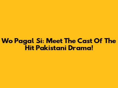 Wo Pagal Si: Meet The Cast Of The Hit Pakistani Drama!