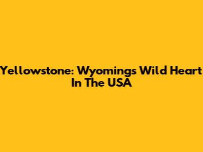 Yellowstone: Wyoming's Wild Heart In The USA