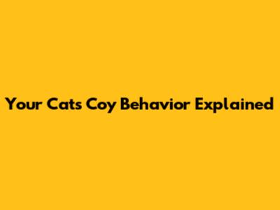 Your Cat's Coy Behavior Explained
